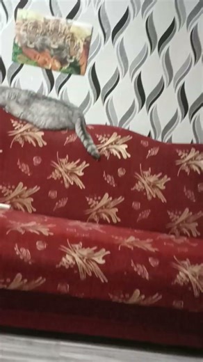 Стабилизация Redmi Note 10s