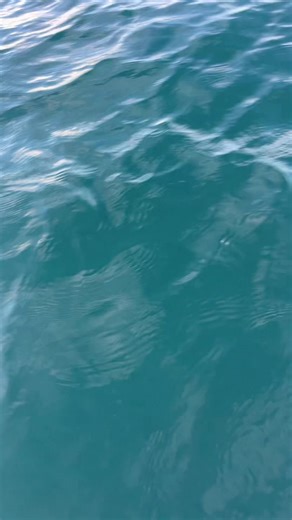 Stranded at Sea: A Call for Help