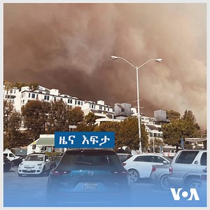 30K views · 1K reactions |  ዜና እፍታ ተጨማሪ ዘገባዎችን በመደበኛ የዜና ዕወጃ ሰዓታችን ያገኛሉ፡፡ https://amharic.voanews.com/ | VOA Amharic | Facebook