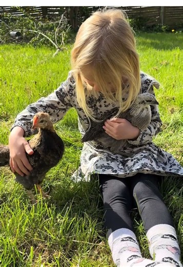 Efter at hun er startet i skole, er det lidt svært at forstå hvorfor de andre børn må have smartphones og iPad , når hun ikke “må”.. Men jeg prøver at holde fast i det så længe jeg kan, da jeg ikke kan se nogle grund til at hun skal have disse ting, når hun kan så meget andet🥰🌼🌱 Ingen hetz mod dem som giver deres børn det, det er bare det vi har valgt. 🐮 #bondegård #børn #livet #familie