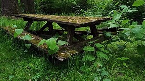 Every picture tells a story in the PhotoLink Library