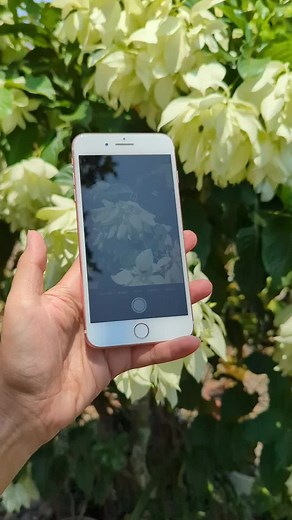 Naff Cellular on TikTok