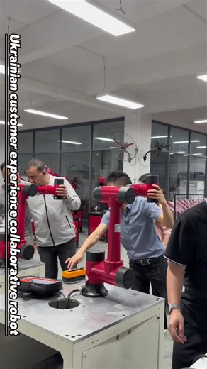 borunte.robot.meiss2 on TikTok