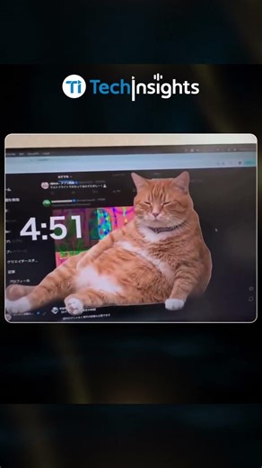 Cat Gatekeeper Chrome Extension Helps Reduce Screen Time in a Fun Way