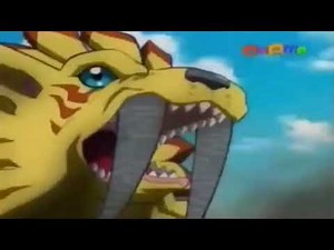 라라몬-해바라기몬-라일락몬-로제몬-로제몬각성모드 기술모음