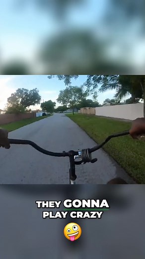 7K views · 27 reactions | This video examines the auditor's complex role. It explores the delicate balance between sparking necessary change (agitation) and keeping the audience engaged (entertainment). Plus, witness a cyclist's scenic journey. #Auditing #CyclistJourney #Business #Finance #CareerInsights | Auditing While Black | Facebook