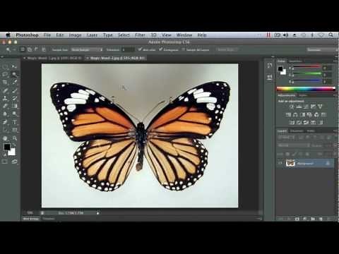 Using the Magic Wand Tool - Adobe Photoshop CS6 Tutorial