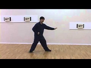 Yang Family Tai Chi Step Back Repulse Monkey to White Snake
