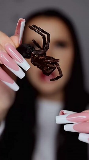 28K views · 476 reactions | ASMR Eating a Tarantula ️ Part 2 ｜ #thailandesefood #crunchyasmr #eatinginsects #insectsnack #eatingspiders #aracnofobia #tarantulasoftiktok #zebratarantula | ASMR Nadina Ioana I | Facebook