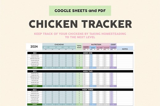 Backyard Chicken Egg Production Tracker | Google Sheets Flock Log Template for Egg Collection & Care - Etsy