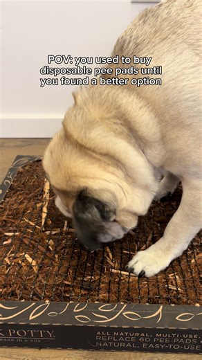 I used to go through disposable pee pads constantly. Replacing the over and over felt wasteful and messy. Switching to one reliable potty setup made everything simpler and easier to manage 😭🐶 #puppypotty #pottytraining #puppypad #doglovers #indoordog