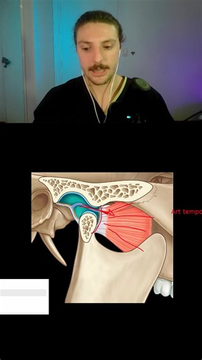¿El mewing afecta la articulación temporomandibular (ATM)?