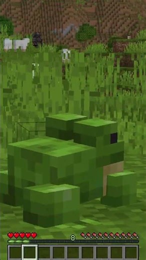 Minecraft Hide and Seek but I'm a Frog! #shorts #minecraft