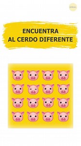 2.3M views · 2.5K reactions | IDEAS INTELIGENTES PARA REUTILIZAR COSAS VIEJAS || Proyectos decorativos del hogar con reciclados: | Genial | Facebook