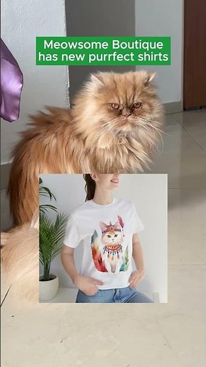 New cat themed shirts | Cute cat shirts | Funny cat T-shirts | Cat lover gifts | Cat mom merch