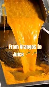 How Orange Juice Is Made 🍊 | From Fresh Oranges to Bottles (Factory Process)