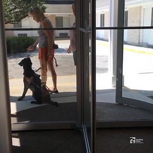 3.5K views · 198 reactions | Watch Kathleen & Truffle learn to use...