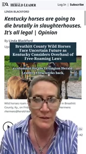 Breathitt County Wild Horses Face Uncertain Future as Kentucky Considers Overhaul of Free-Roaming Laws