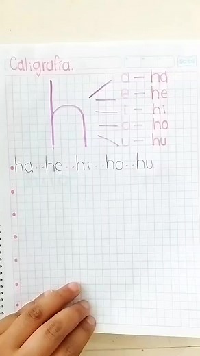 17K views · 309 reactions | Con esta libreta trabaja mi pequeñito de 5 años 珞‍ #trabajosbonitos #EducaciónParaNiños #alumnos #maestra #actividadesparaniños #aprendizaje #lectoescritura #educacioninfantil #ideasparaniños | CINART-Aprende con Anlly | Facebook