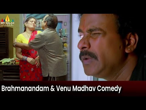 Brahmanandam & Venu Madhav Hilarious Comedy | Krishna | Telugu Movie Scenes ‪@SriBalajiMovies‬