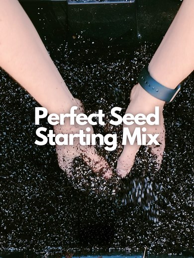 For years I relied on “fancy” seed starting, and while it is the best I’ve spent a lot of my seed starting energy in the past year trying simpler things and let me tell you - so long as your seedling mix is fluffy, doesn’t hold onto too much water, has a little nutrition, and doesn’t have any big chunks you’ll be fine. My favorite mix is what you see in this video - 50% Coco Coir, 20% Perlite and 20% of Worm Castings. You add vermiculite, azomite or any very light fertilizer but there’s no real 