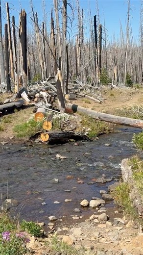 Somewhere in the Middle of the Mountains, there is a Creek Crossing!