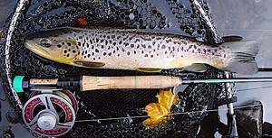 Vision Nymphmaniac: the 11ft 3# is a great Euro Nymphing rod