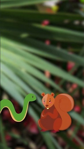 ¡Curiosidades Increíbles sobre las Serpientes! 🐍✨ ‪@HappyLearningES‬