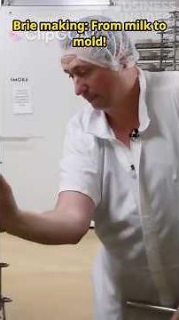 How Brie Cheese Is Made: A Step-by-Step Guide #brie #cheese #newzealand #food #dairy