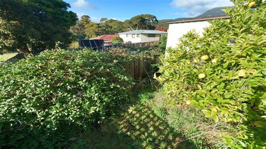 Overgrown garden transformation joy
