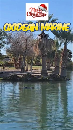 Merry Christmas from Oxidean Marine! We appreciate all of our customers and fans and sincerely wish youna Merry Christmas. The Oxidean Marine Animal Twin Cat is the choice of those who want it All Now. True 100mph boat with Zero upgrades needed! 100 mph Right out of the Box with Our CNC PROPS. https://oxideanmarine.com/search?type=product&q=Animal rtr Other boats are capable of 100 but need Lots of upgrades and will eventually Shatter. Be wise ans spend good money Once. Our boats have the Highes