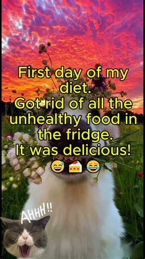 Quick Funny Adult Jokes #dailyhumor #englishjokes #humorvibes