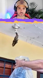 Así soluciono este pequeño detalle en menos de 10 segundos | Click Happy Cat