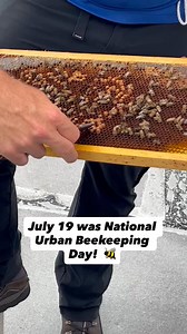 Book your next beehive tour on the HCC Sustainability Eventbrite, https://heyor.ca/j3TUpI. 🐝🌷 | Hillsborough College
