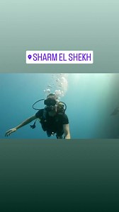 Andrea Sartore Photographer on Reels | Facebook