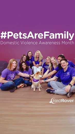 💜 97% of domestic violence survivors consider whether they can bring their pet when deciding to leave an abuser. This heartbreaking statistic highlights the urgent need for more pet-friendly shelters. We’re proud to partner with Purina to create the Purple Leash Project and 25 by 2025 to make 25% of domestic violence shelters pet friendly by 2025. Hear from survivors who’ve found refuge in pet-friendly shelters and learn how you can help. Visit RedRover.org/PLP to donate and share your support.