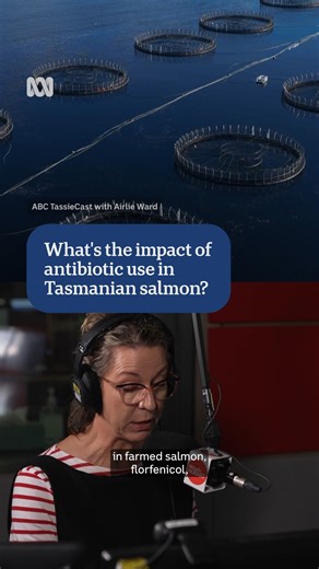 There are plenty of people championing the salmon industry, but as it's grown so too have the questions around its social licence. After its public image dived last summer when millions of fish died, the industry sought regulatory approval to use an antibiotic in a bid to prevent more mass deaths. But the spread of that antibiotic well outside the target zone has raised further concerns about what we might be eating and impacts on other industries. #ABCNewsTassie #ABCTassieCast | ABC Hobart