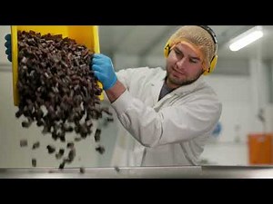 How we make Meat Sticks (in 30 seconds)