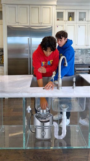 Hand vs Garbage Disposal