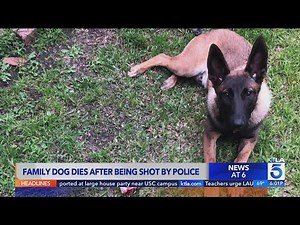 Family dog fatally shot by Santa Ana police, sparking outrage