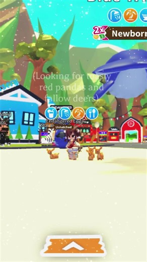 Adopt a Blue Whale: Sea Turtle Love!