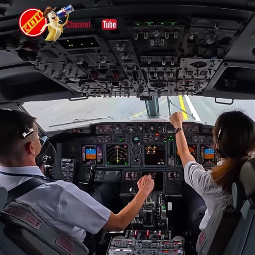 Boeing 737 Epic Storm Landing | Cockpit POV