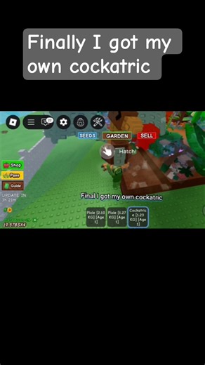 grow a garden cockatrice #roblox #growagarden