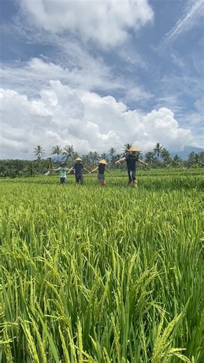 A perfect blend of adventure, culture, and peaceful staycation | Pesona Java Ijen Homestay