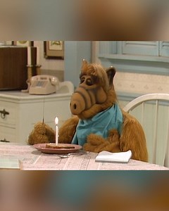 The Tanners are forced to have Thanksgiving at the Ochmoneks Guess who ate the turkey!? 🦃 #alf #thanksgiving #holidays #alienlifeform #sitcom #humor | Alf