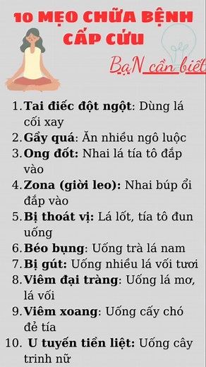 Learn Basic Vietnamese Phrases with Pronunciation