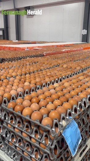Economy Minister Dr Caoimhe Archibald has announced a £2.9million investment by Lisnaskea-based Ready Egg to boost productivity and accelerate sales growth. Read more in the comments. | Fermanagh Herald