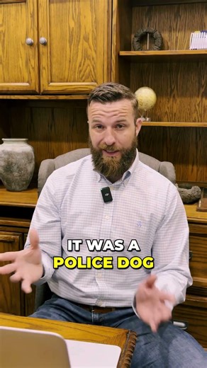 Police Dog Bites Man On The Face!