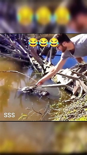 🔥 Tamam Janwar Aur Parindon Ka Safar | All Animals & Birds Species on Earth | Nature’s Best Video 🐘