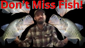 Crappie Fishing: Start To Finish, Your Guide to What You Need To Know!